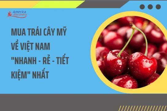 #106 - Mua Trái Cây Mỹ Về Việt Nam "Nhanh - Rẻ - Tiết Kiệm" Nhất